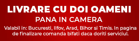 livrare mobila cu 2 oameni