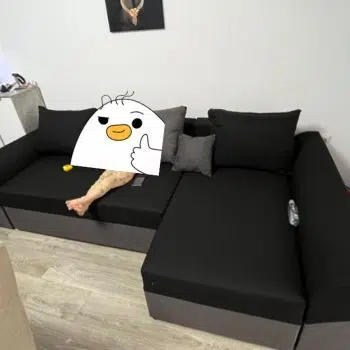 Review image