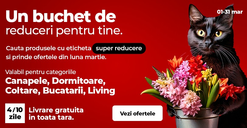 reduceri mobila si canapele martie