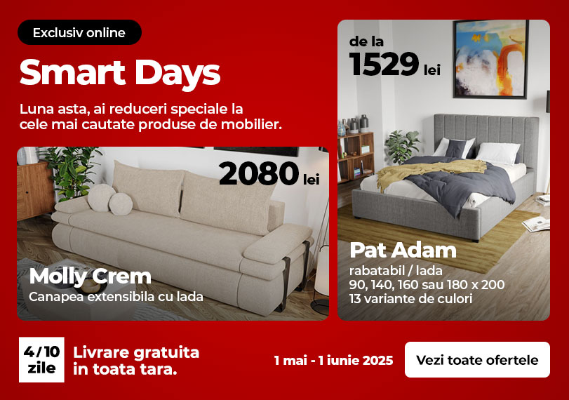 reduceri mobila canapele mai
